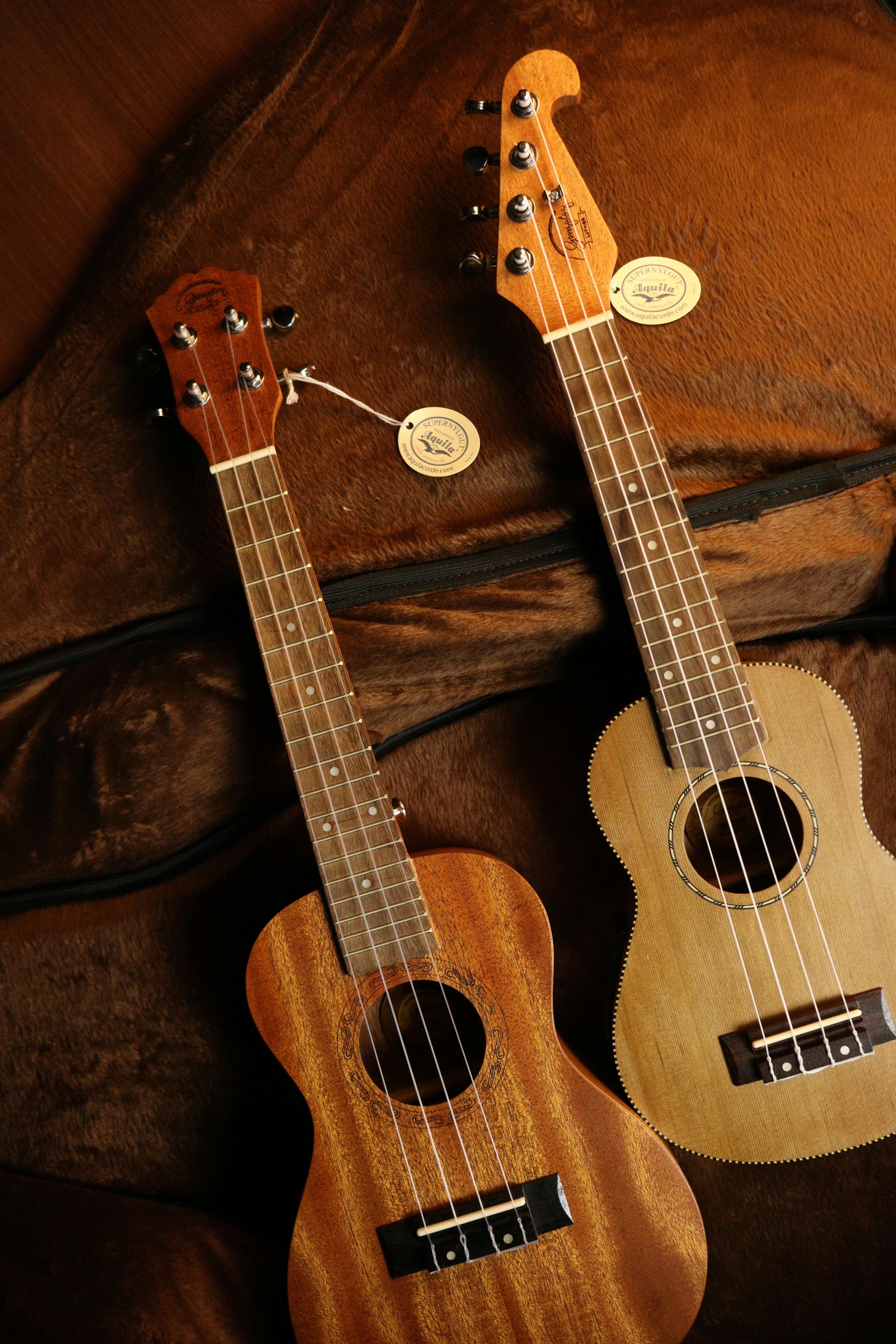 Musical Instruments